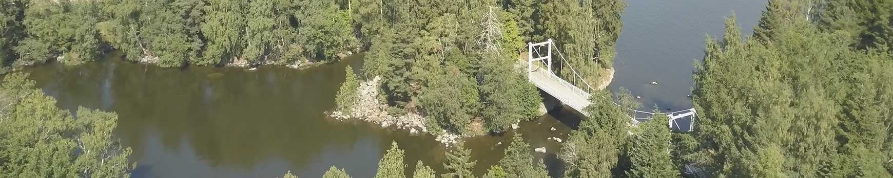 Riippusillat ja kalastus